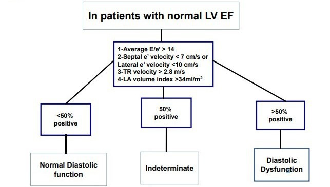 Should We Test for Diastolic Dysfunction? How and How Often