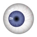 Eyeball