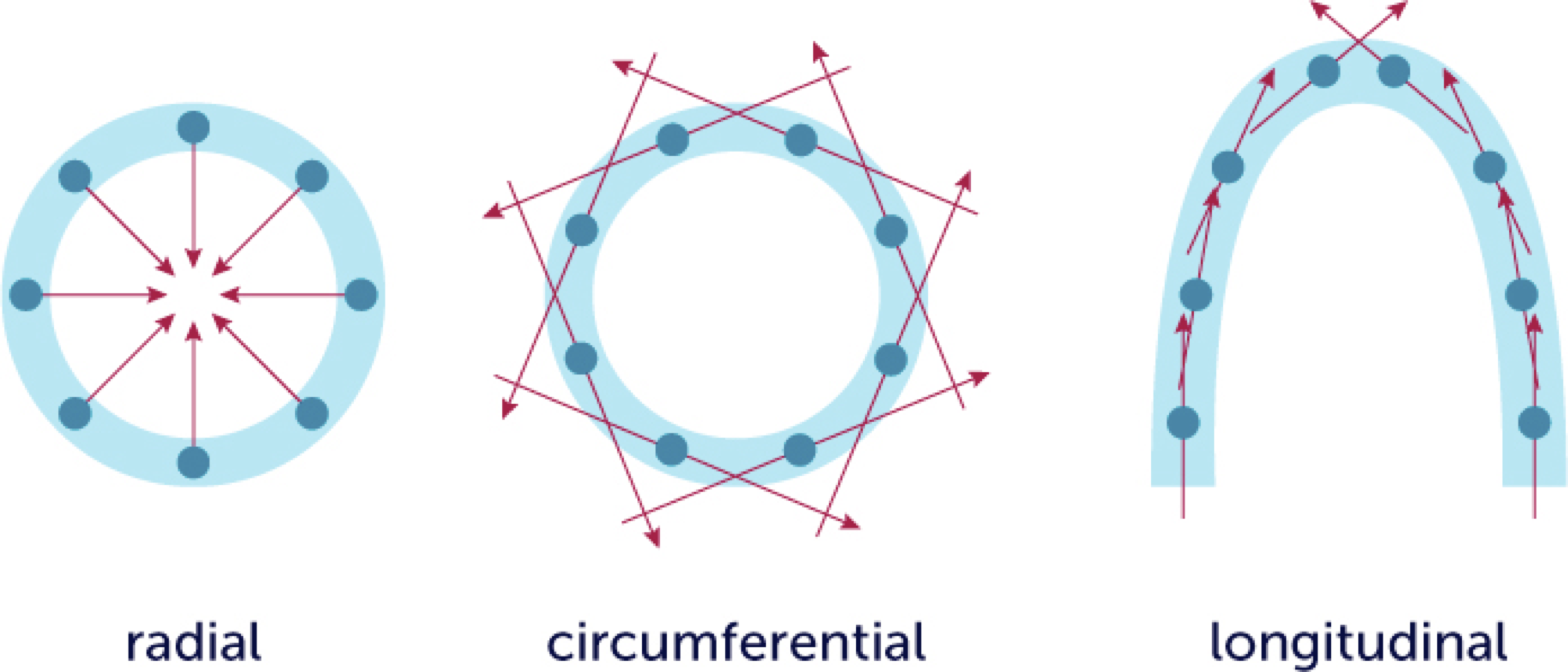 Defining the Reference Range for Left Ventricular Strain in