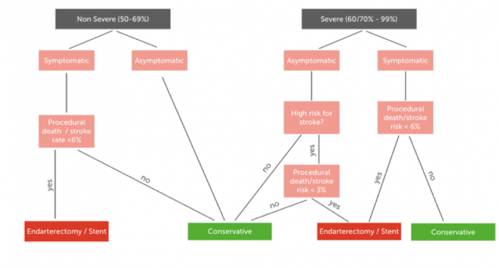 Flow chart depicting the indications for conservative therapy and carotid artery stenting Flow chart depicting the indications for conservative therapy and carotid artery stenting