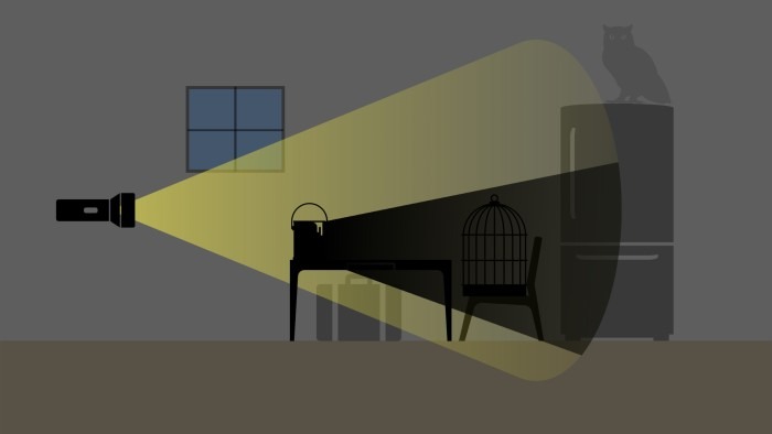 Acoustic Shadowing Illustration.