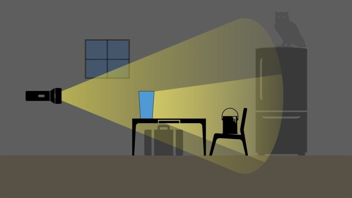 Dorsal Acoustic Enhancement Illustration.