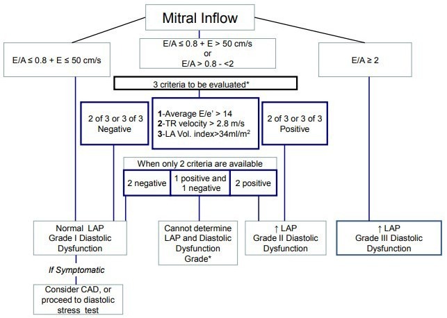 mitral-inflow