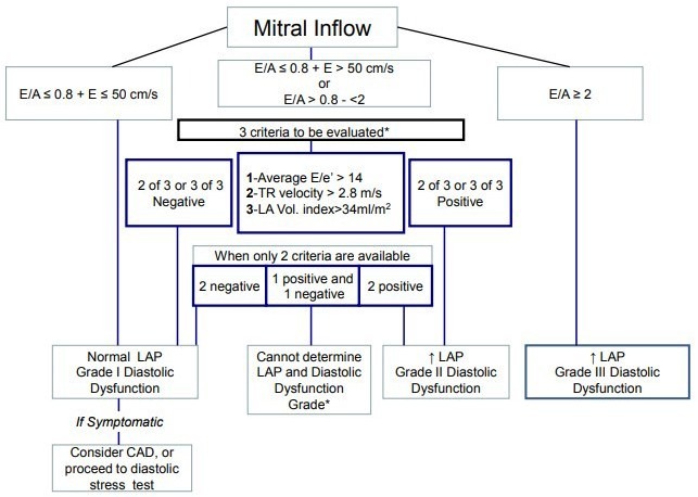 mitral-inflow mitral-inflow