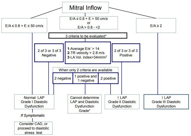 5 Steps to Identify Diastolic Dysfunction in Echo Cardioserv