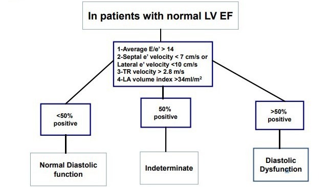 normal-LV-EF normal-LV-EF