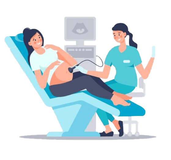 Illustration of pregnant woman getting an ultrasound scan from doctor.