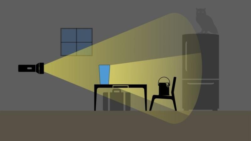 Artifact illustration: Dorsal acoustic enhancement.