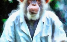 AI painting of a monkey in a white coat.
