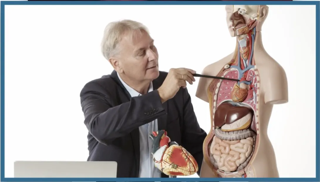 Aortic Disease FocusClass