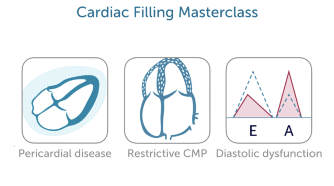 Cardiac Filling MasterClass