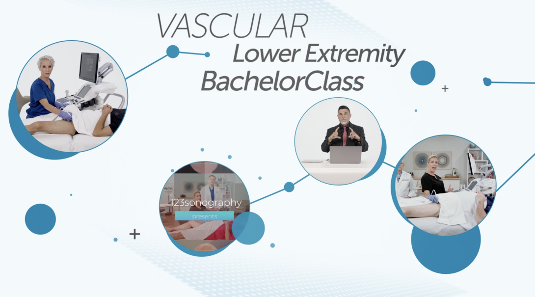 Vascular Lower Extremity BachelorClass