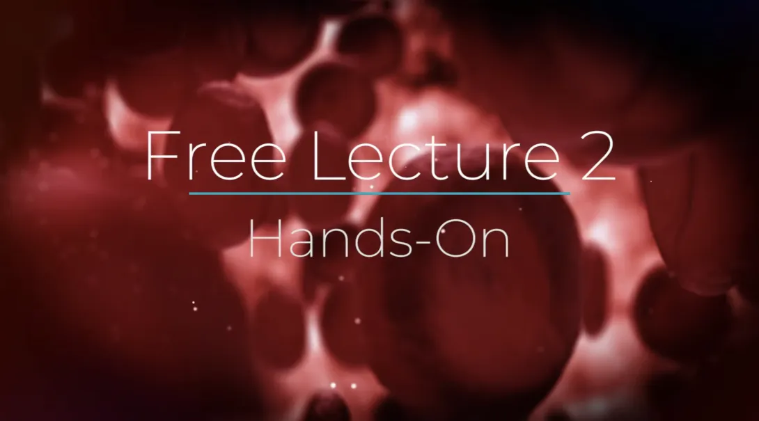 Free lecture 2