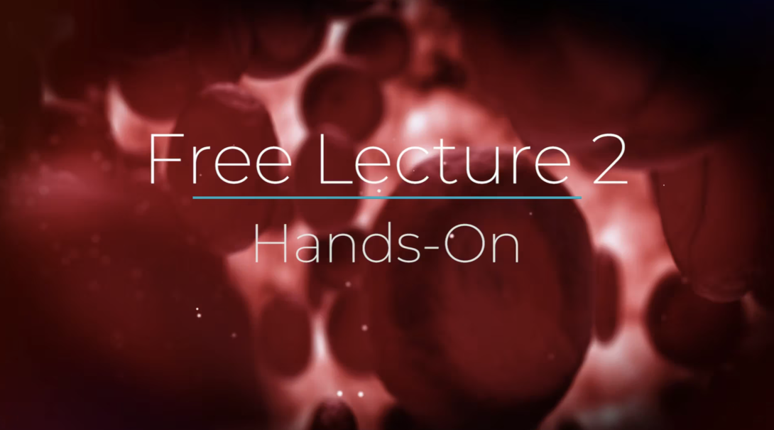 Free lecture 2