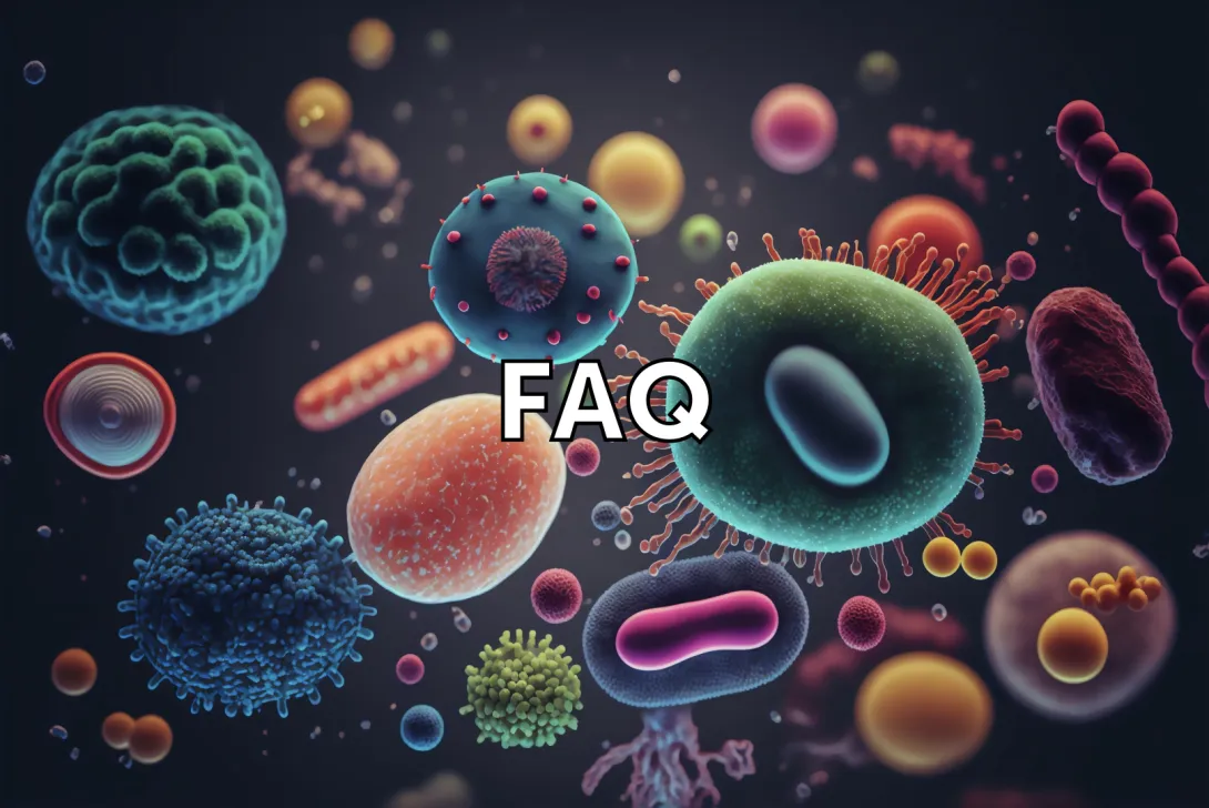 What Are the Updated Major and Minor Diagnostic Duke Criteria in the 2023 Guidelines?