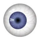 eyeball