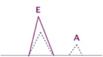 Supernormal filling: the E-wave is at least twice as high as the A-wave.