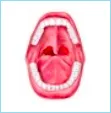 123sonography