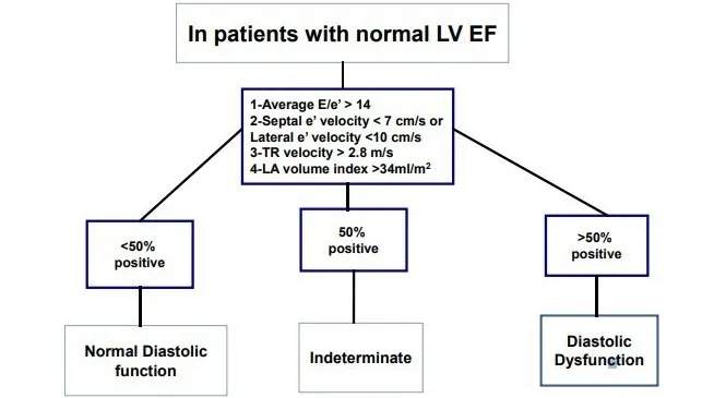 normal-lv-ef