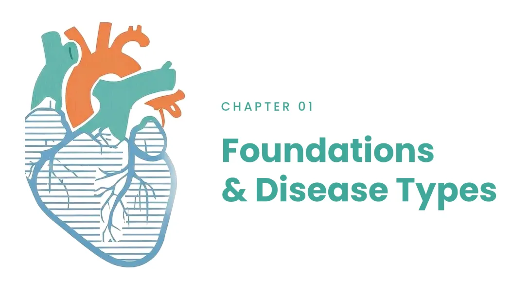 What Is Amyloid and Where Does it Come From?