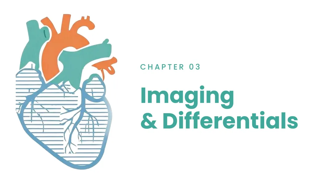 Key Echocardiographic Features - 2D
