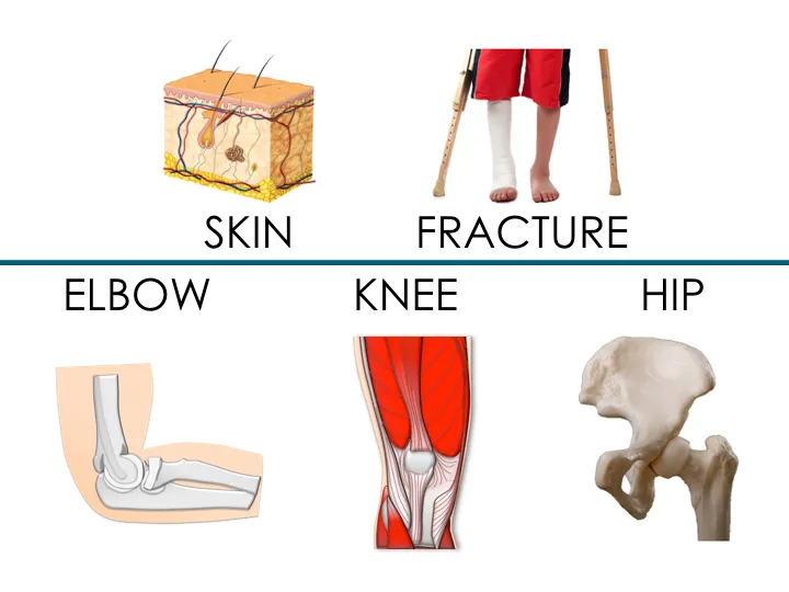Soft Tissue & Musculoskeletal