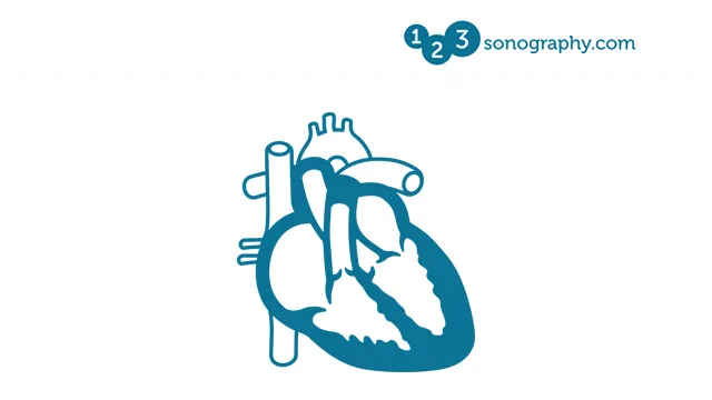 Myocardial Mechanics - Advanced