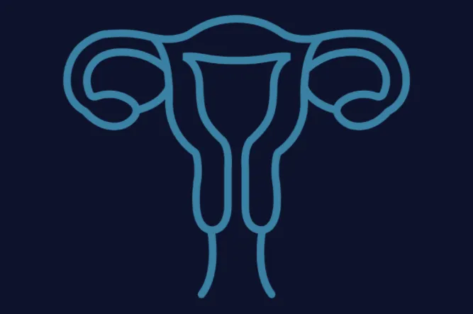 OB/GYN FocusClass - POCUS applications