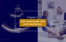 Left ventricular size