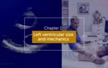 Left ventricular mechanics