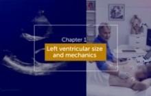 Left ventricular mechanics