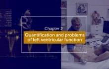 Quantification of left ventricular function (LVF)