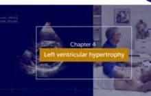 LVH Basics