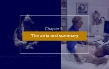 Summary