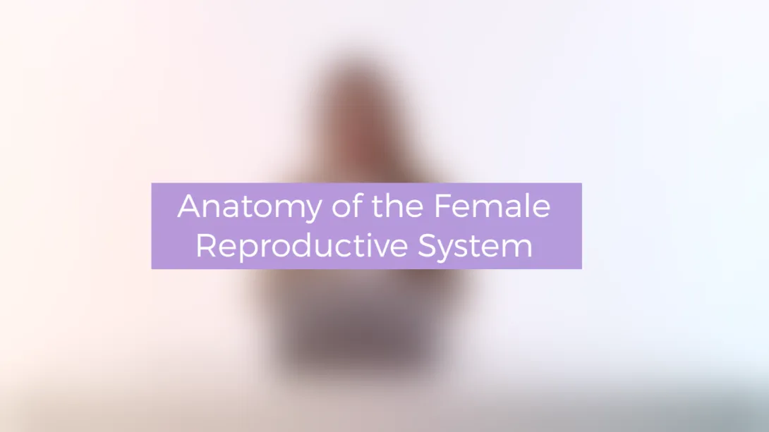 Anatomy of the Female Reproductive System