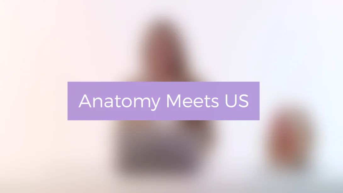 Anatomy Meets US