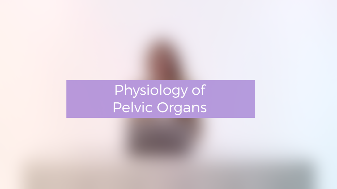 Physiology of Pelvic Organs