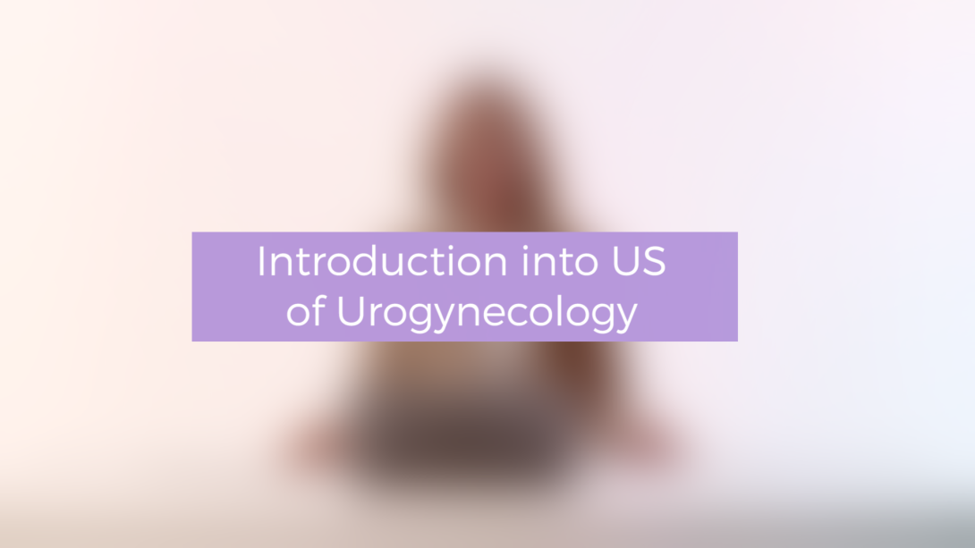 Introduction into US of Urogynecology