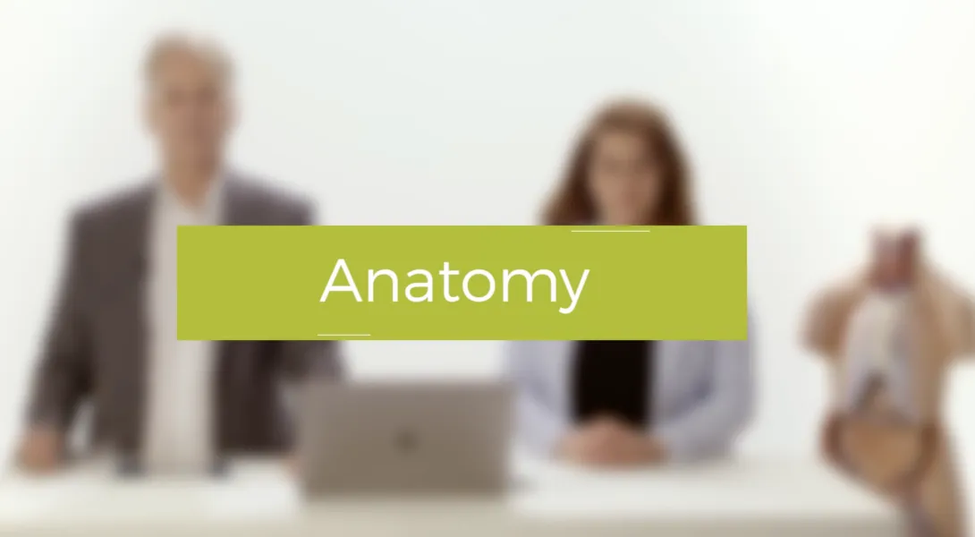 Anatomy