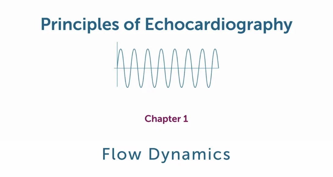 Flow Dynamics