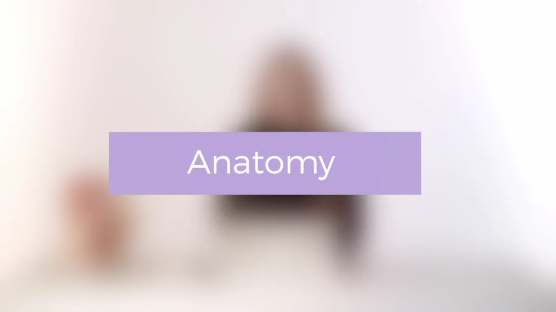 Anatomy
