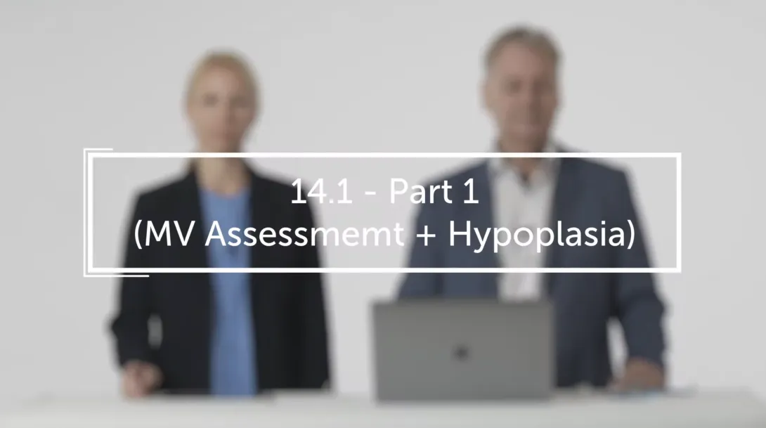 Part 1 (MV Assessmemt + Hypoplasia)