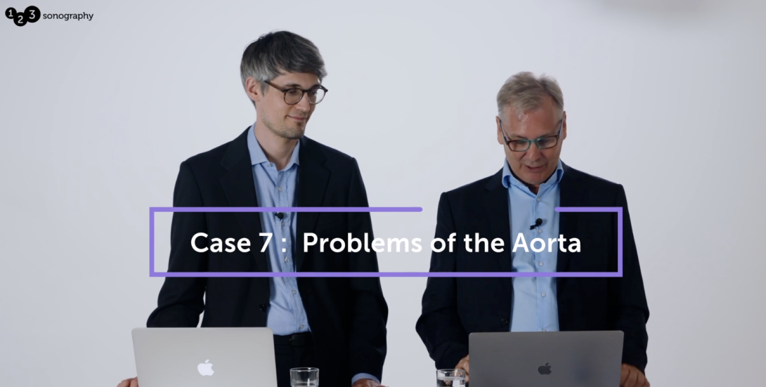 Problems of the Aorta
