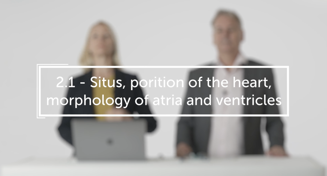 Situs, position of the heart, morphology of atria and ventricles