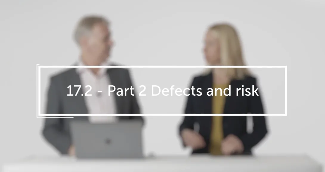 Part 2 Defects and risk