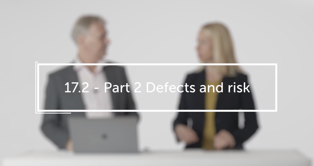 Part 2 Defects and risk