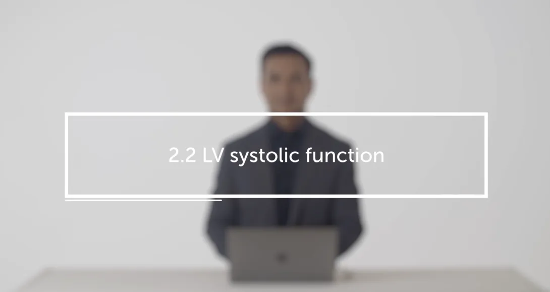 LV systolic function