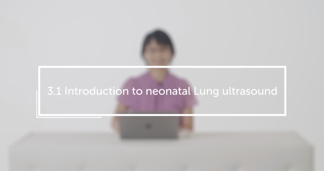 Introduction to neonatal lung ultrasound