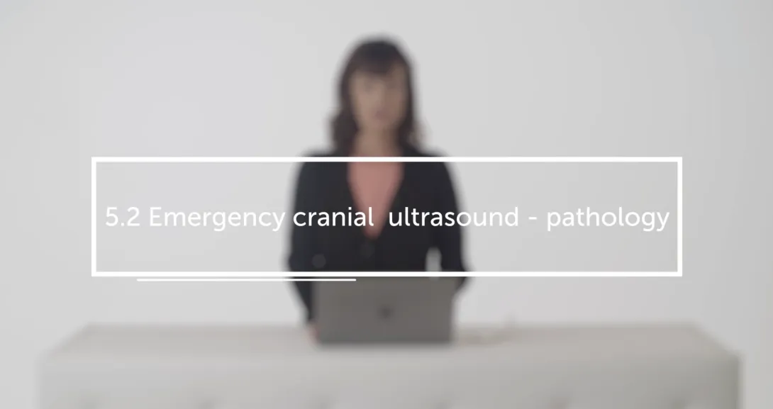 Emergency cranial  ultrasound - pathology