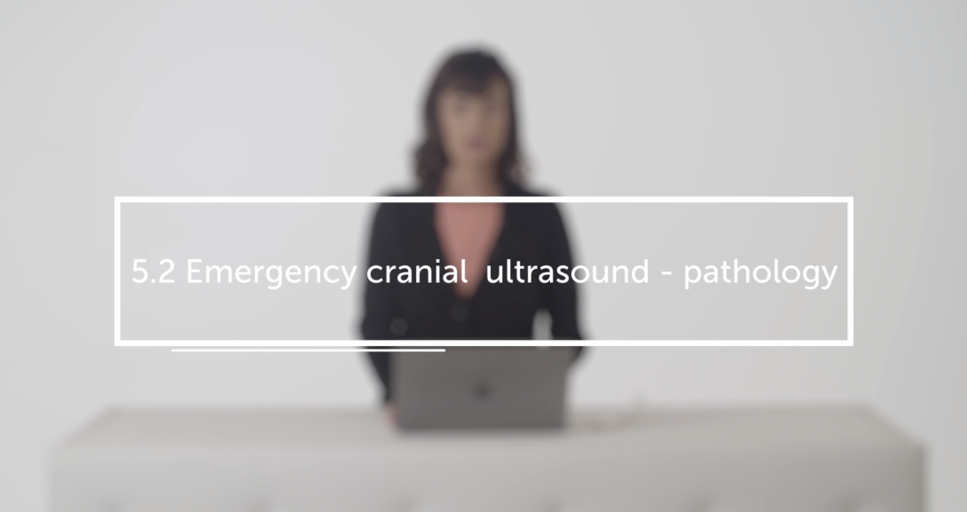 Emergency cranial  ultrasound - pathology